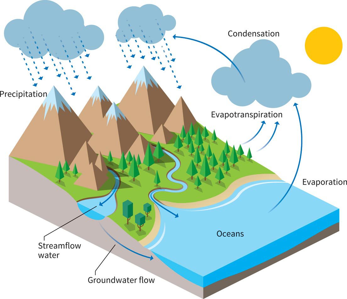 explain-water-cycle-in-nature-with-the-help-of-schematic-diagram